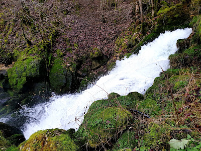Source du Dessoubre à Consolation-Maisonnettes