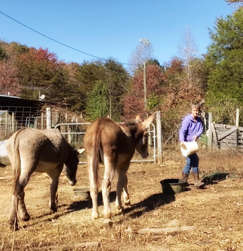 Gods Blessing Farm LLC