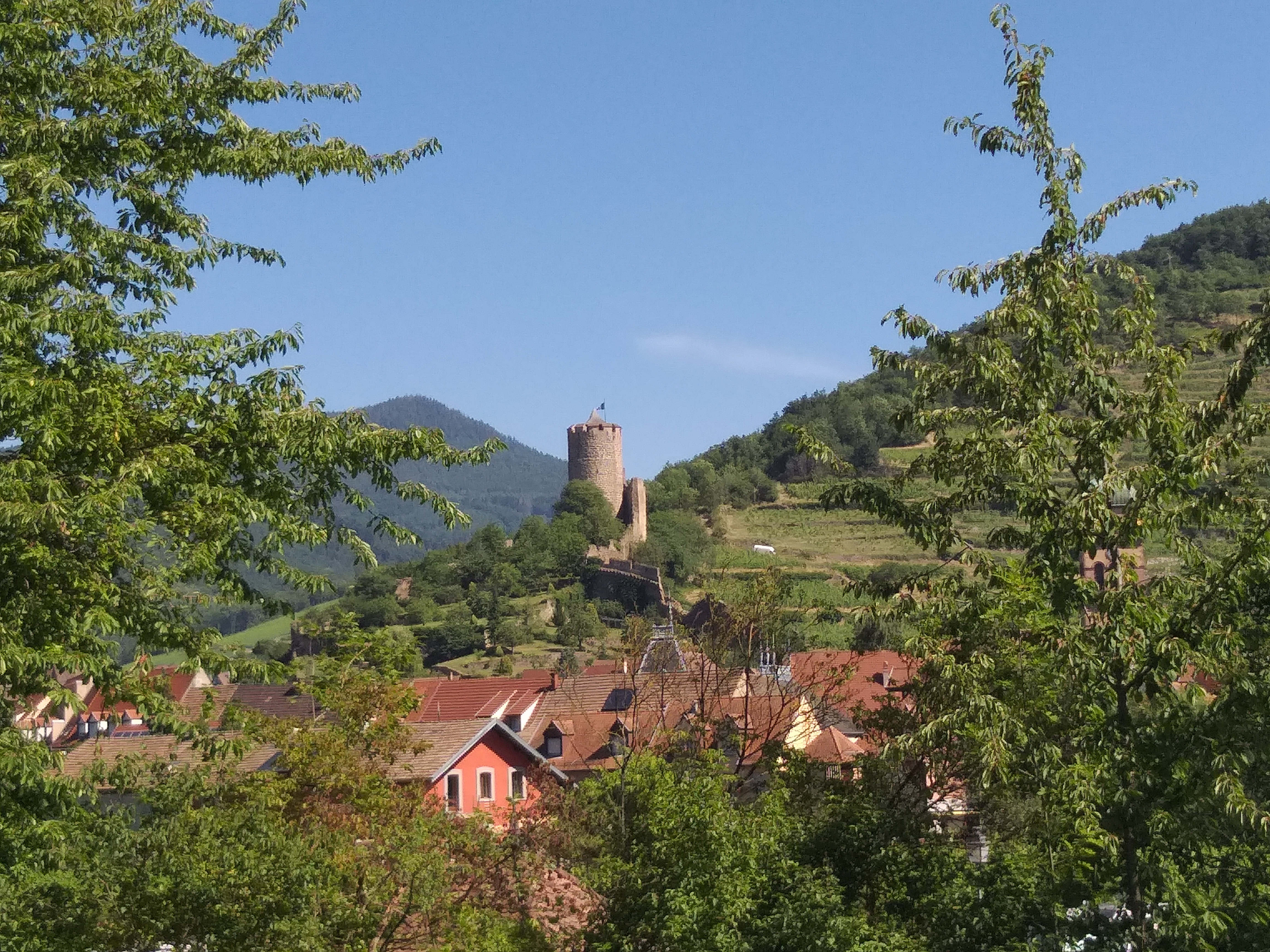 Photo n° 1 de l'avis de Jérôme.l fait le 06/07/2019 à 04:43