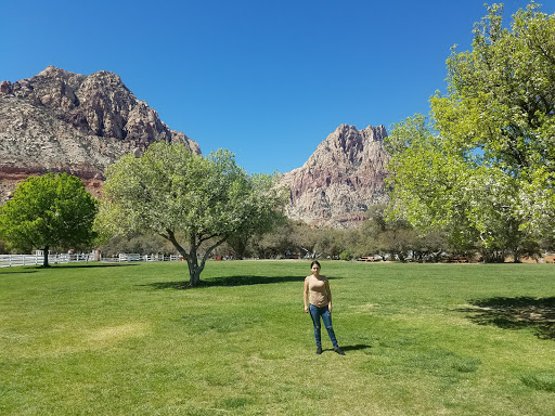 National Reserve «Red Rock Canyon National Conservation Area», reviews and photos, 1000 Scenic Loop Dr, Las Vegas, NV 89161, USA