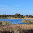 Edithvale and Seaford Wetland Lookout