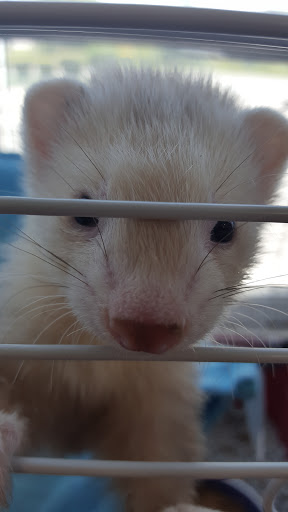 Pet Supply Store «Coastline Pet Supply», reviews and photos, 3530 Northgate Dr, Myrtle Beach, SC 29588, USA