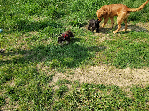 Park «Lake of the Isles Dog Park», reviews and photos, 2845 W Lake of the Isles Pkwy, Minneapolis, MN 55405, USA