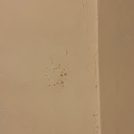 Photo n°7 de l'avis de WIDED.R fait le 31/01/2024 à 22:20 sur le  Hotel Dateo Milano à Milan