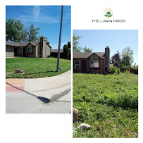 The Lawn Pros - Photo 9 - Car repair in , Thornton