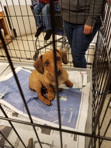 Pet Supply Store «PetSmart», reviews and photos, 470 Shaw Ave, Clovis, CA 93612, USA