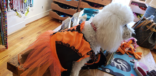 Pet Supply Store «Diggidy Dog», reviews and photos, Ocean Ave & Monte Verde St, Carmel-By-The-Sea, CA 93923, USA