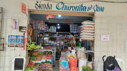 Tienda churonita del cisne de víveres