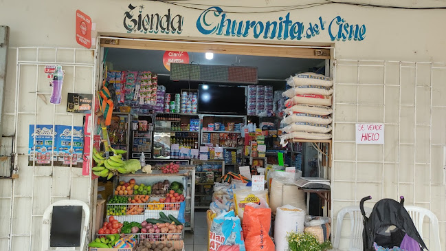 Tienda churonita del cisne de víveres