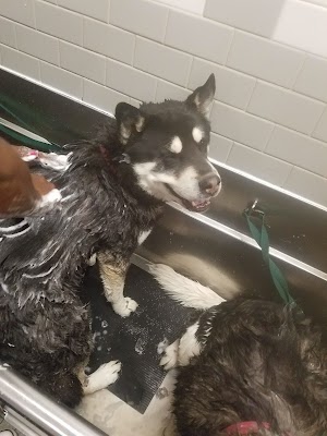 Petco - photo 11
