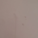 Photo n°2 de l'avis de Simo.a fait le 08/04/2024 à 09:50 sur le  Hotel Niccoló V à Viterbo