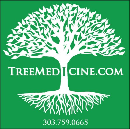 Tree Medicine Tree Services