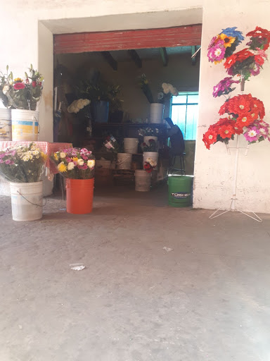 floreria hidalgo – Tultitlán de Mariano Escobedo