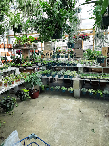 Plant nursery Augusta