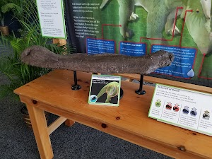 Grapevine Museums & Galleries - photo 43