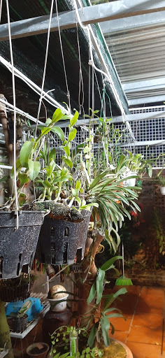 CÔNG TY TNHH GIẢI PHÁP VÀ CÔNG NGHỆ BẮC VIỆT