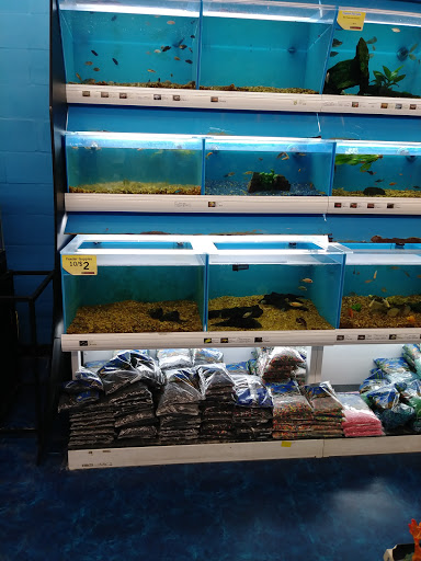 Pet Supply Store «Pet Supermarket», reviews and photos, 1746 E Silver Springs Blvd, Ocala, FL 34470, USA