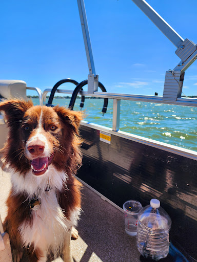 Clear Lake Adventure Rentals