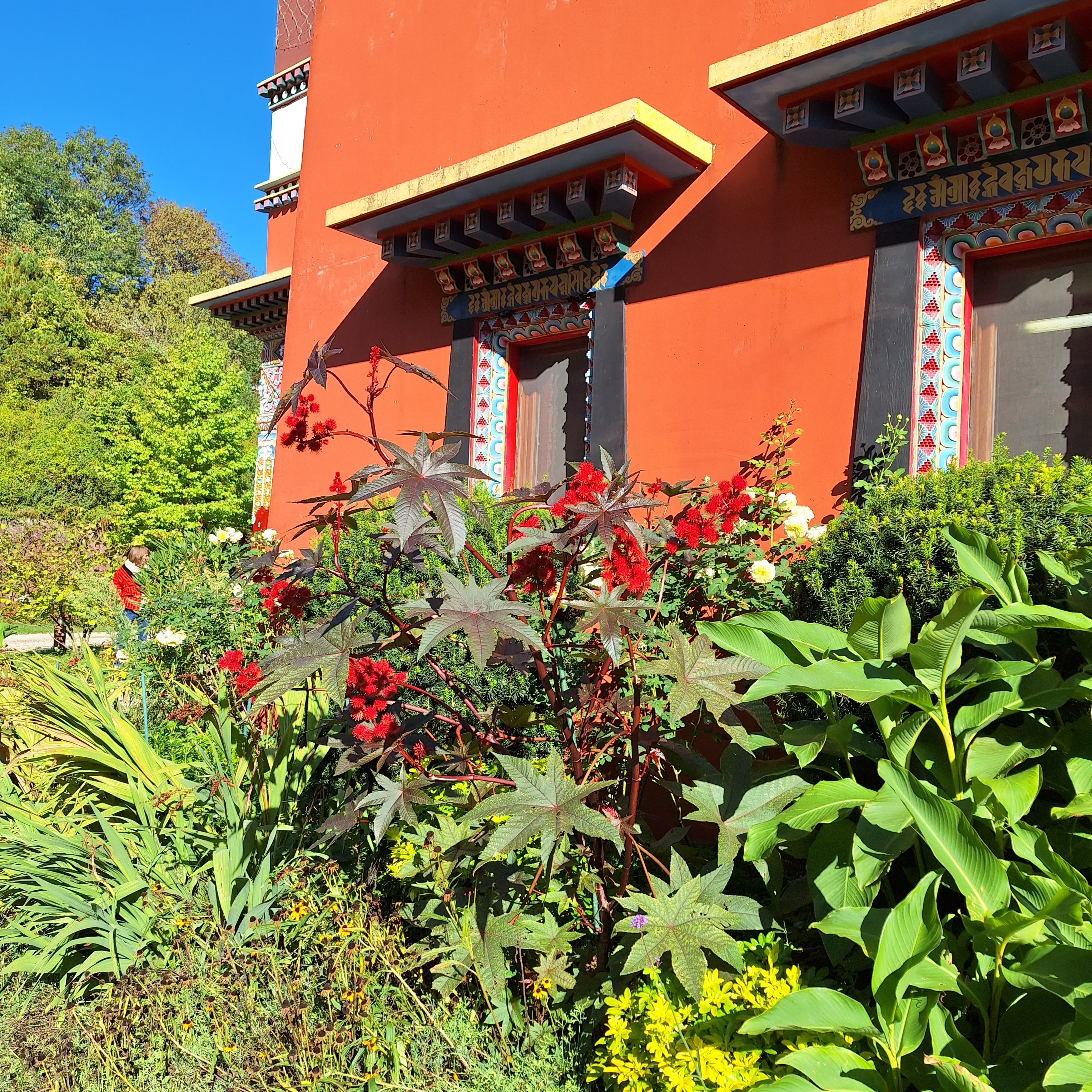 Photo n° 4 de l'avis de Nadine.H fait le 15/10/2023 à 21:15