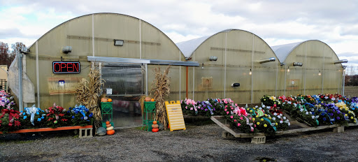 Wholesale Plant Nursery «Garden Fantasy», reviews and photos, 43250 Tyler Rd, Belleville, MI 48111, USA