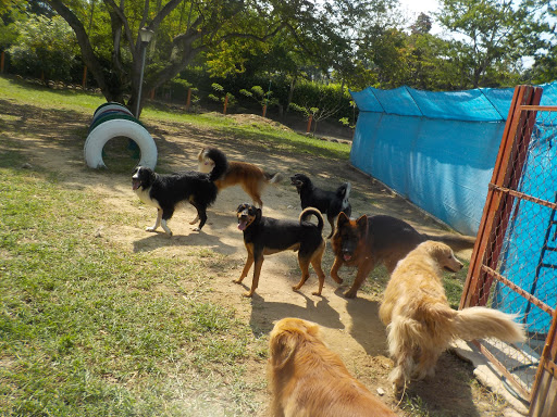 Clínica Veterinaria Catan Zoo