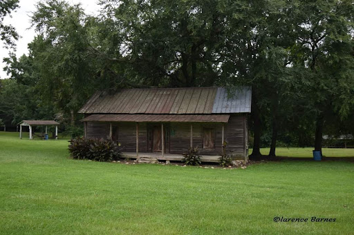 Nature Preserve «Clinton Nature Preserve», reviews and photos, 8720 Ephesus Church Rd, Villa Rica, GA 30180, USA