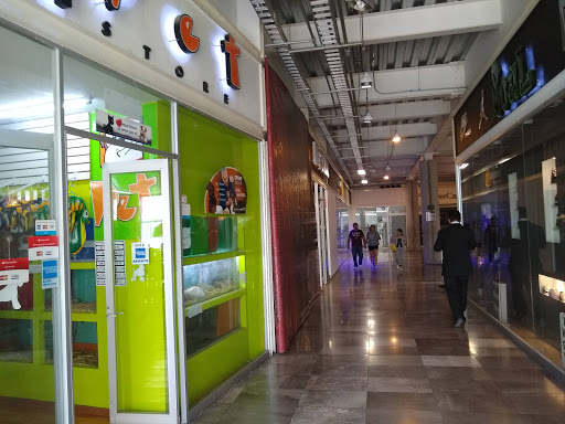Pet Store Centro