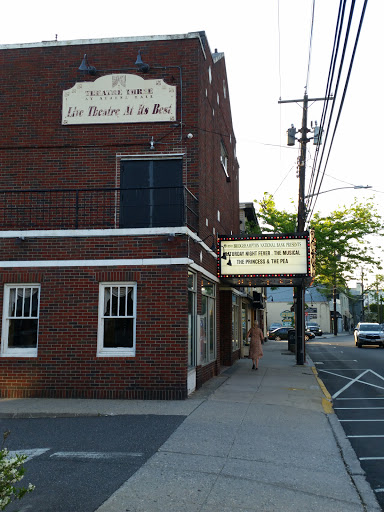 Performing Arts Theater «Theatre Three», reviews and photos, 412 E Main St, Port Jefferson, NY 11777, USA