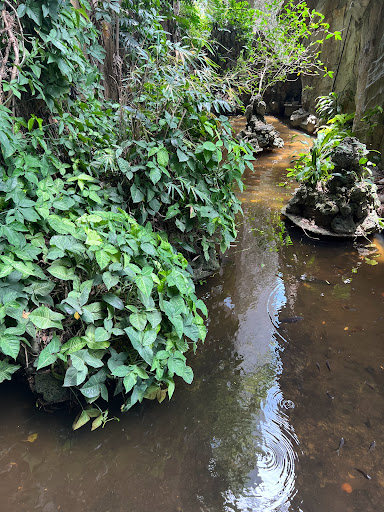 Top 20 blook cửa hàng Quận Ngũ Hành Sơn Đà Nẵng 2022