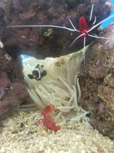 Pet Supply Store «Petco Animal Supplies», reviews and photos, 1574 N Dupont Hwy #300, Dover, DE 19901, USA