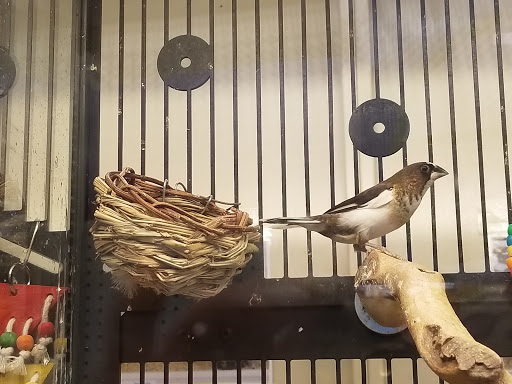 Pet Supply Store «PetSmart», reviews and photos, 400 Mill Creek Dr, Secaucus, NJ 07094, USA