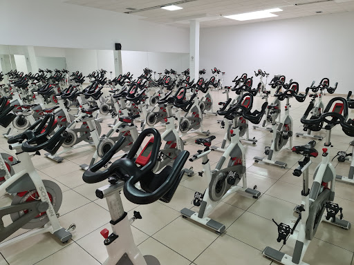 Alma Fit Gym en Torrijos, Toledo