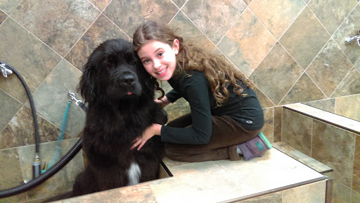 Pet Supply Store «Pet Valu», reviews and photos, 55 U.S. 9, Manalapan Township, NJ 07726, USA