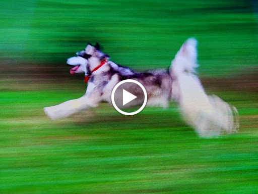 Auto Parts Store «NAPA Auto Parts - GJT Auto Parts», reviews and photos, 1340 Greensboro Hwy, Watkinsville, GA 30677, USA