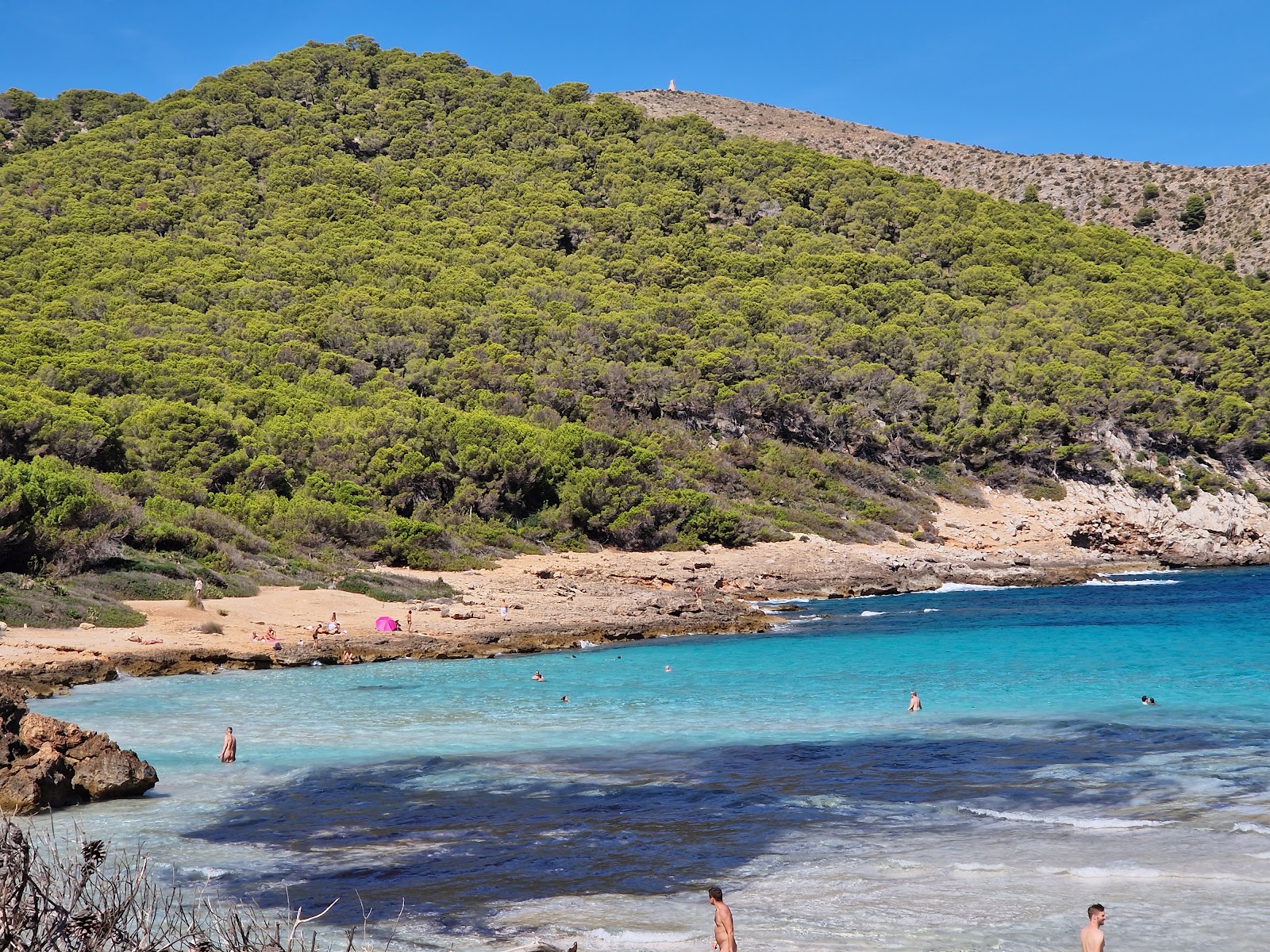 Platja de Ses Cavasses'in fotoğrafı doğal alan içinde bulunmaktadır