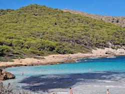 Platja de Ses Cavasses'in fotoğrafı doğal alan içinde bulunmaktadır