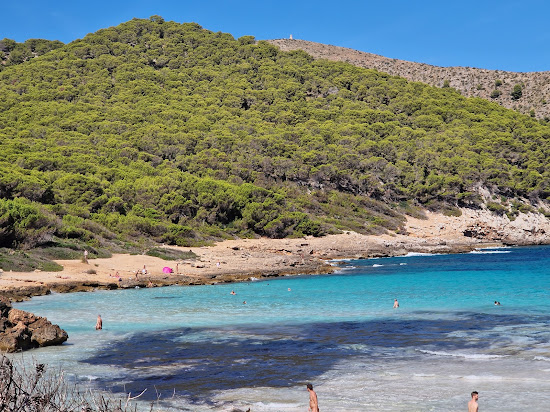 Platja de Ses Cavasses