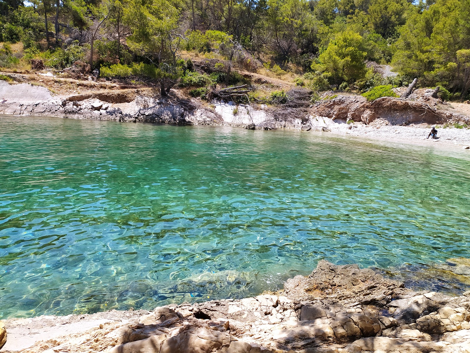 Kasjun beach'in fotoğrafı uçurumlarla desteklenmiş