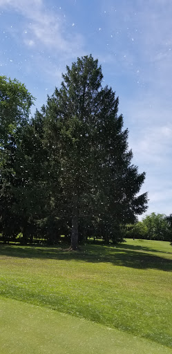 Golf Club «Locust Hills Golf Club», reviews and photos, 5575 N River Rd, Springfield, OH 45502, USA