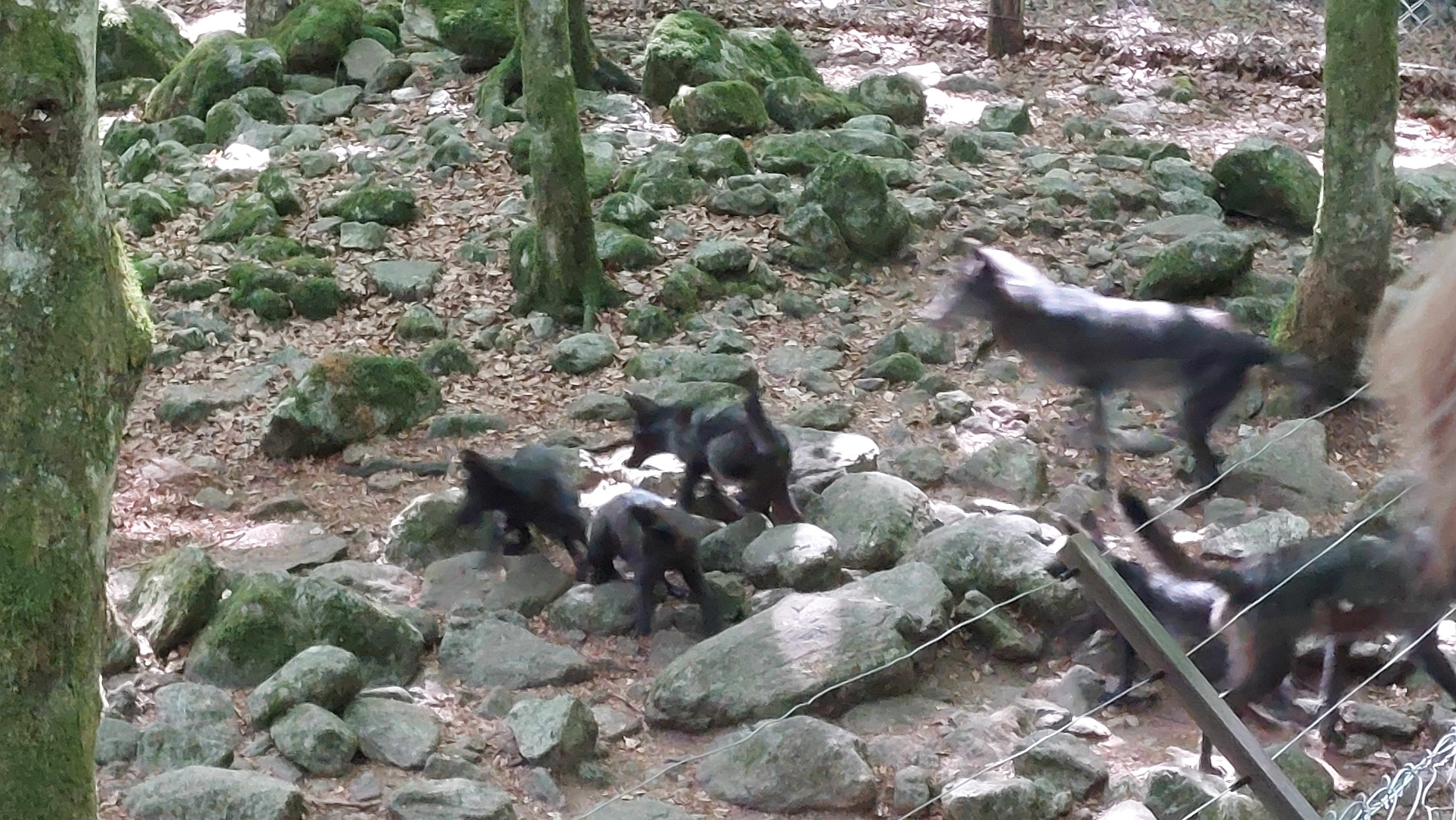 Photo n° 8 de l'avis de Stéphane.e fait le 14/08/2022 à 16:18