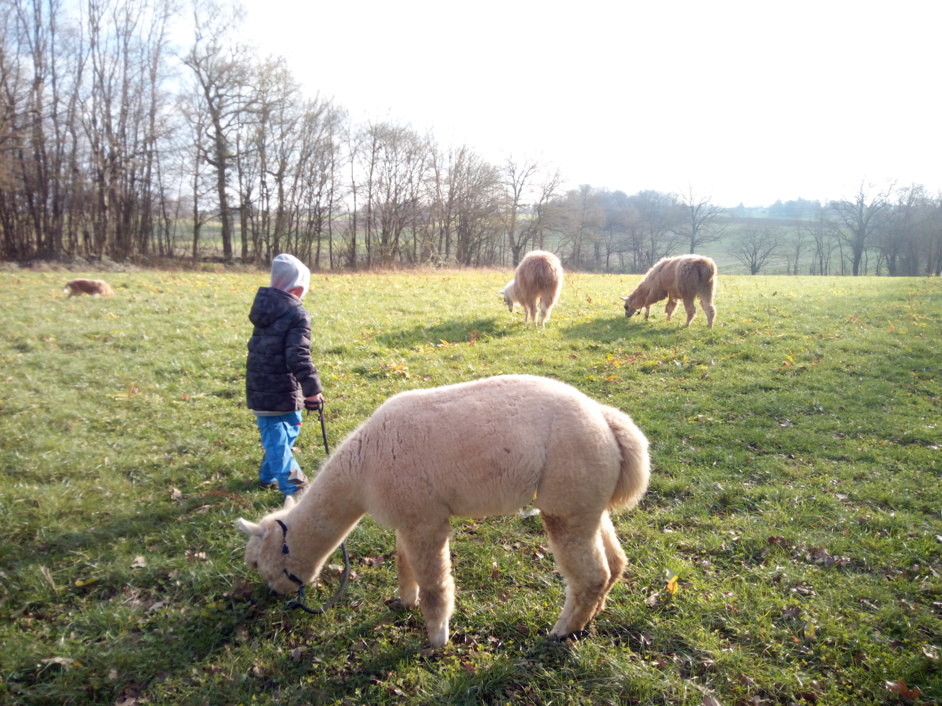 Photo n° 6 de l'avis de virginie.u fait le 22/01/2022 à 17:29