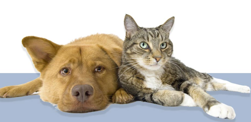 Tierärztin Dr. med. vet. Lehmann unter Ettersburg, Thüringen