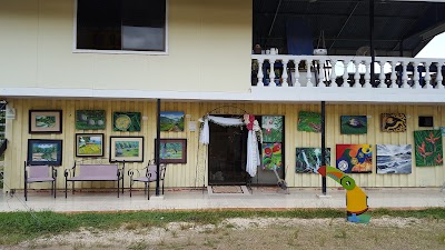 Photos of Osa Academia de las Artes y Galer&iacute;a