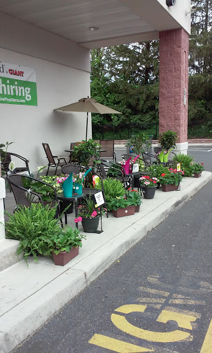 Grocery Store «Giant Food Stores», reviews and photos, 216 E Fairmount St, Coopersburg, PA 18036, USA