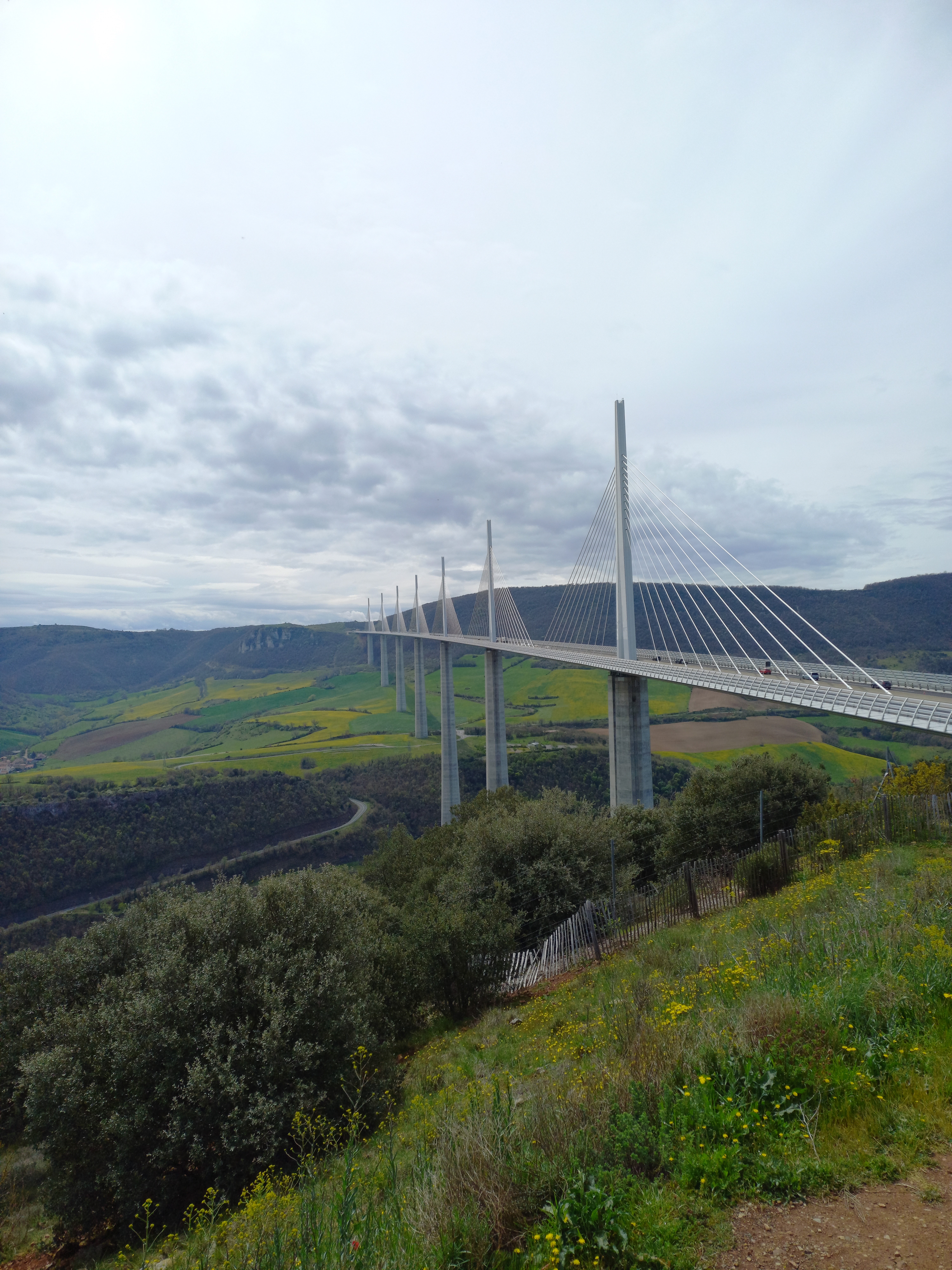 Photo n° 1 de l'avis de Prénom.o fait le 27/04/2023 à 18:18