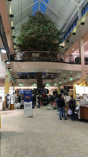 Sporting Goods Store «SCHEELS», reviews and photos, 101 Jordan Creek Pkwy #4000, West Des Moines, IA 50266, USA