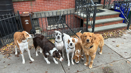 Fido Playhouse