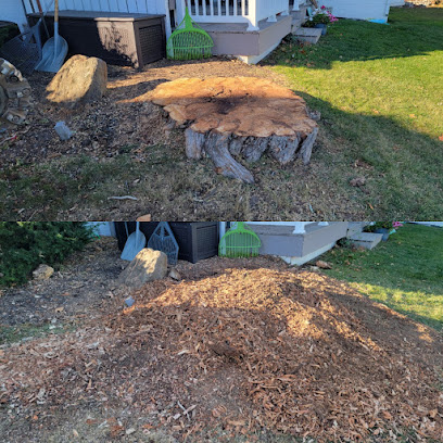 Rise and Grind Stump Removal LLC