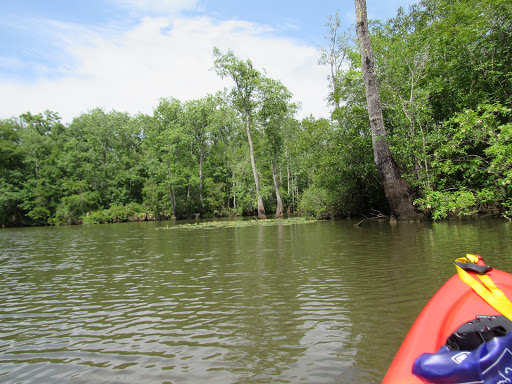 Fishing Camp «Becks Lake Fish Camp», reviews and photos, 2020 Becks Lake Rd, Cantonment, FL 32533, USA