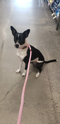 Pet Supply Store «Pet Supplies Plus», reviews and photos, 319 Massachusetts Ave, Lunenburg, MA 01462, USA